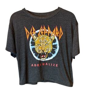 Def Leppard Cropped Graphic T-Shirt - Gray XL